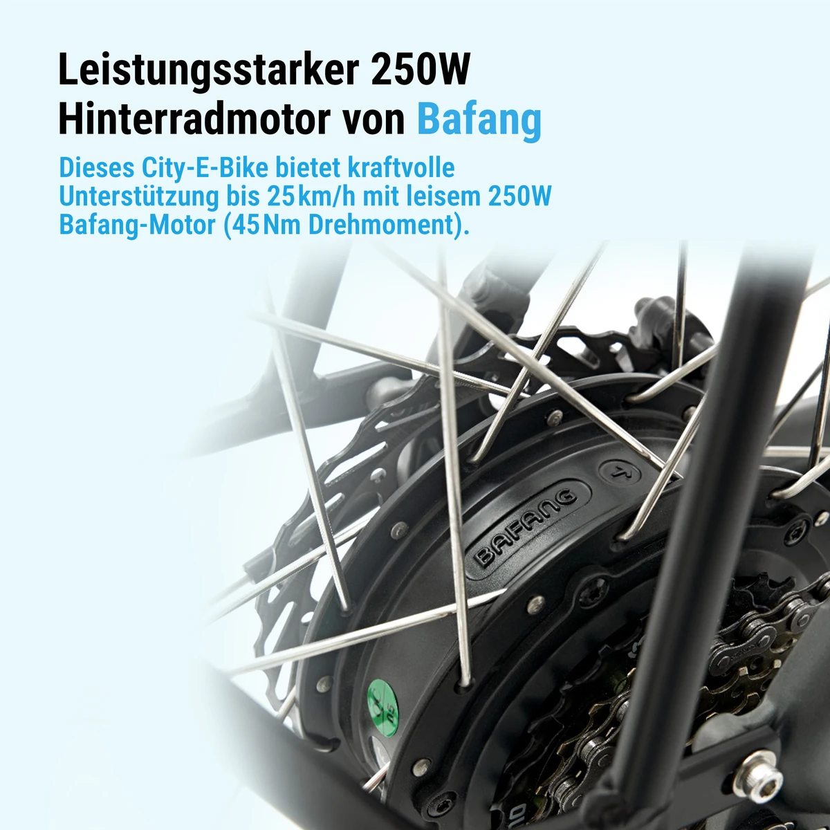 Motore posteriore Bafang da 250 W