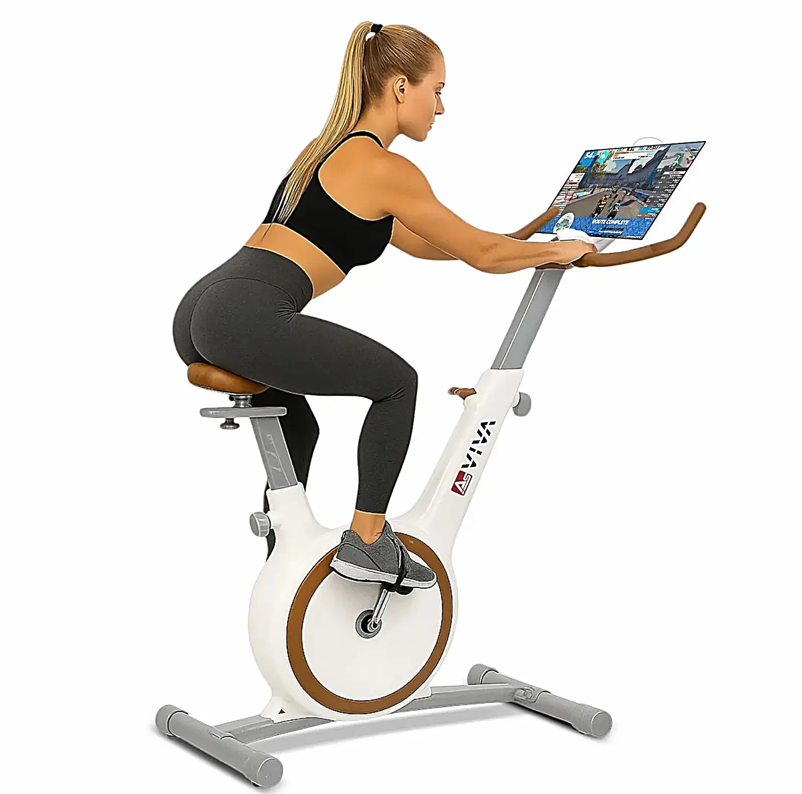 AsVIVA H12 ergometro Speedbike – caratteristiche in sintesi