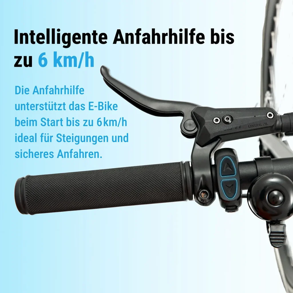 AsVIVA Urban City E-Bike BC1C – 28 pollici – Aiuto alla partenza