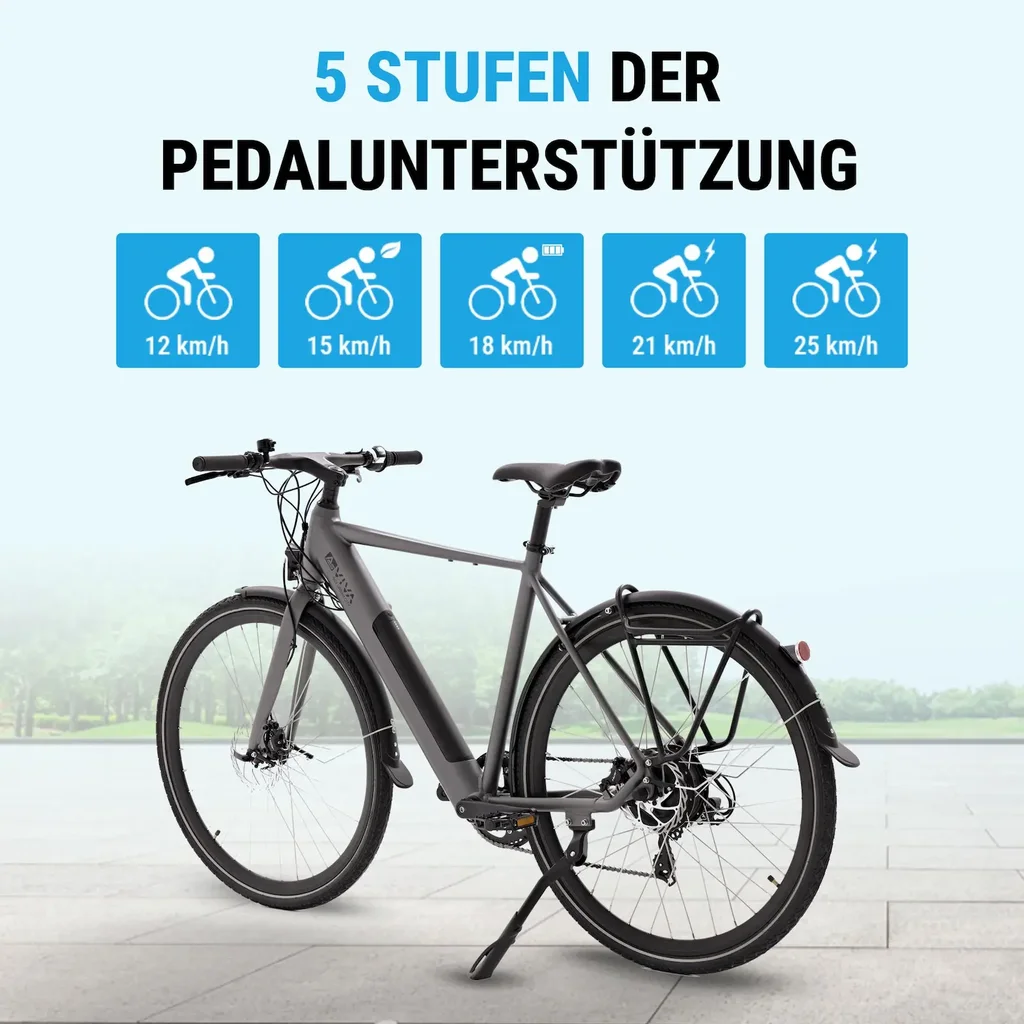 5 livelli di assistenza alla pedalata