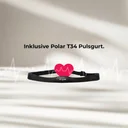 Fascia cardio T34 inclusa dell'ergometro AsVIVA H25 Studio Pro per una misurazione precisa della frequenza cardiaca