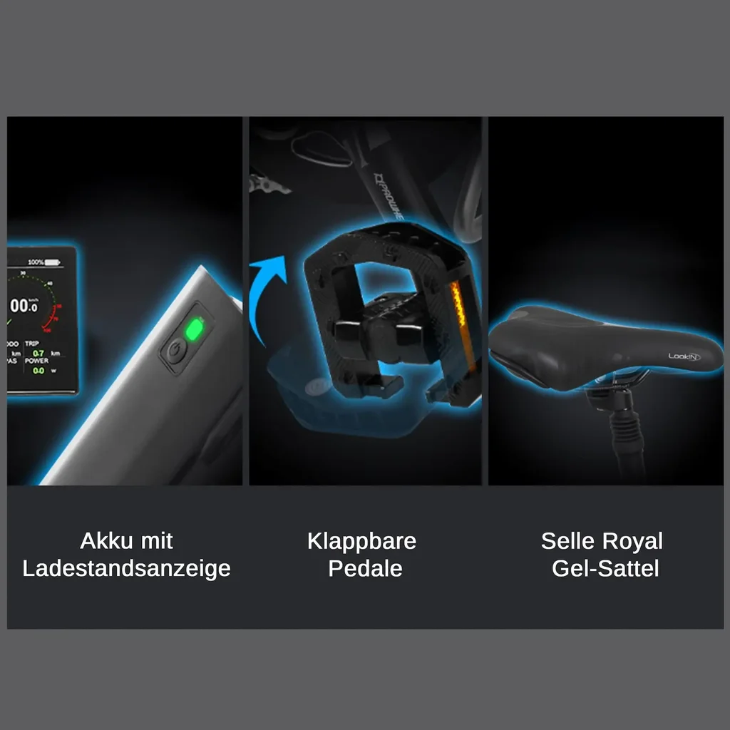 Bici elettrica pieghevole AsVIVA Stadtfalter B13 – Vista 9