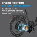 Bici elettrica pieghevole AsVIVA Stadtfalter B13 – Motore sulla ruota posteriore