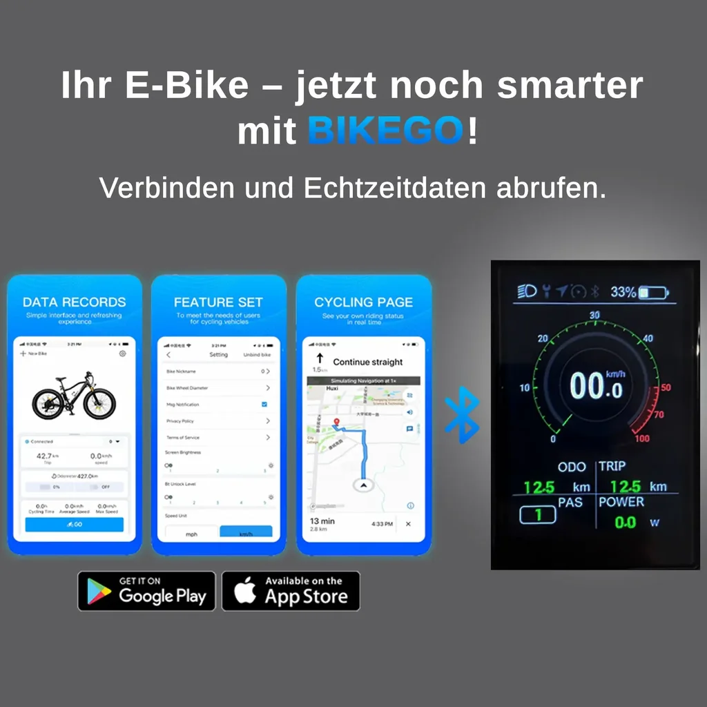 Bici elettrica pieghevole AsVIVA Stadtfalter B13 – Connessione all'app