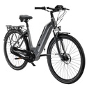 City E-Bike AsVIVA Stadtfalter B14 – Grigio/Bianco – Vista 21