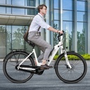 City E-Bike AsVIVA Stadtfalter B14 – Grigio/Bianco – Vista 10