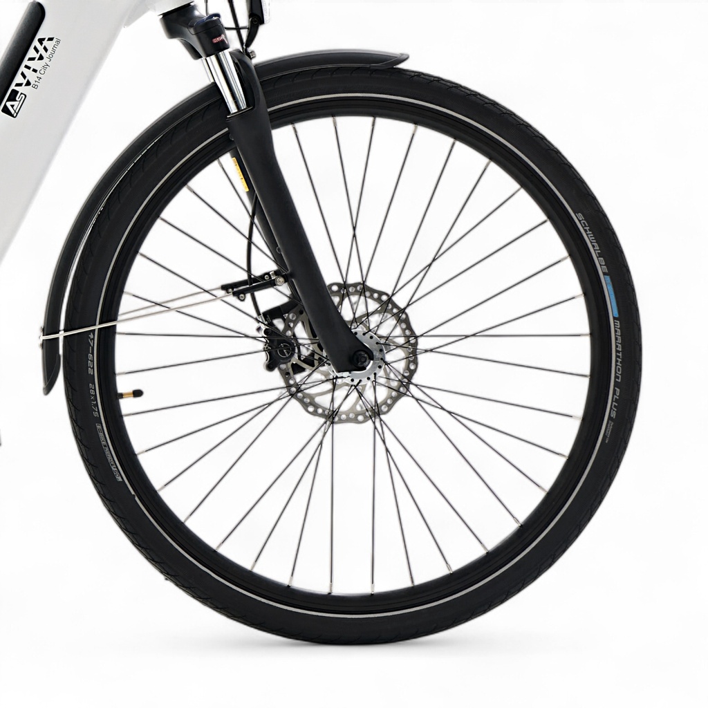 AsVIVA City E-Bike Stadtfalter B14 – Grigio/Bianco – Pneumatici