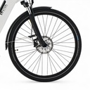 AsVIVA City E-Bike Stadtfalter B14 – Grigio/Bianco – Pneumatici