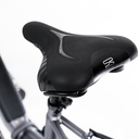 e-bike-klapprad-b13-sf-t-grau-12