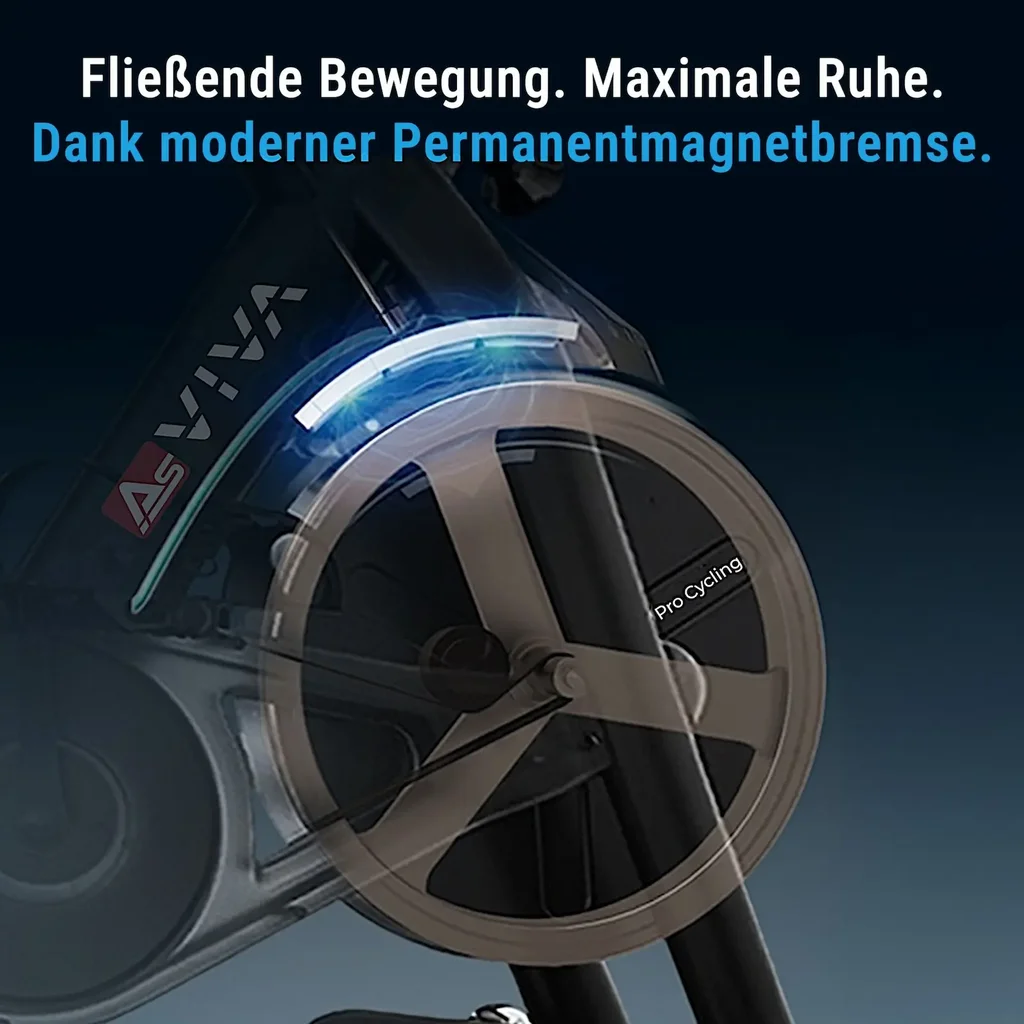 Freno magnetico a bassa manutenzione dell'AsVIVA Speedbike S11S per un funzionamento silenzioso e regolare